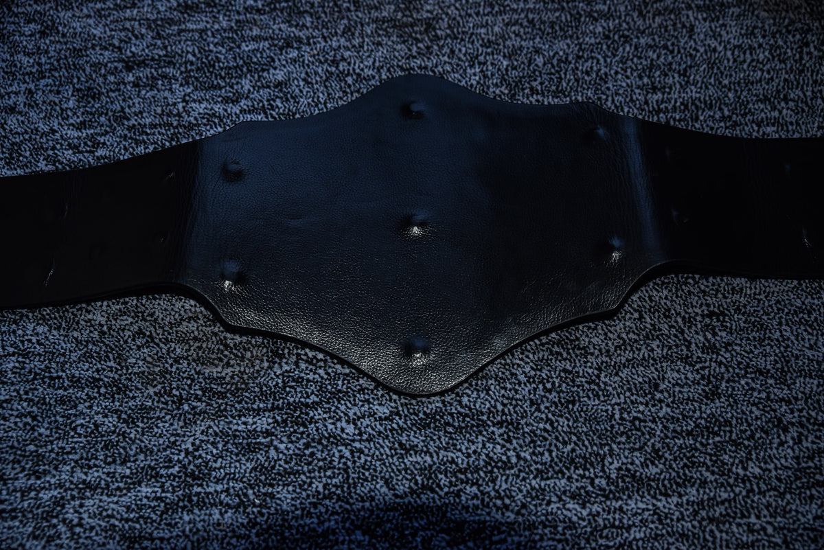 Hogan 85 Title Belt Gallery 2