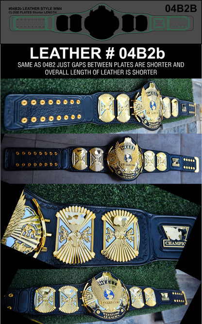 Explore different options about the Winged Eagles.