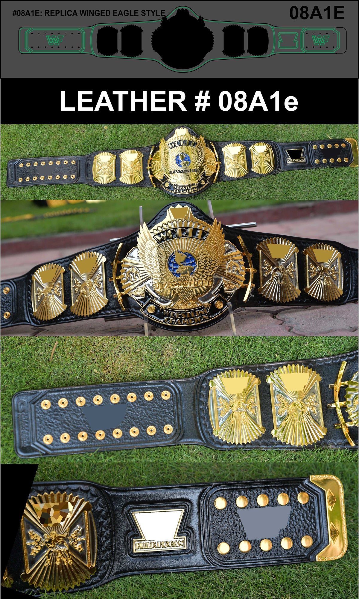 Explore different options about the Winged Eagles.
