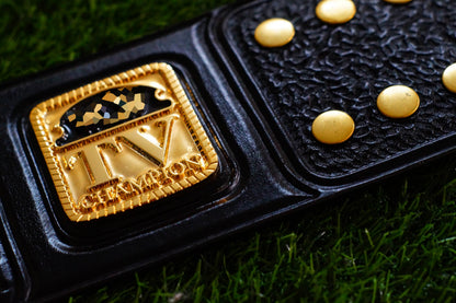 1985 W-C-W TV Championship Title – Gold