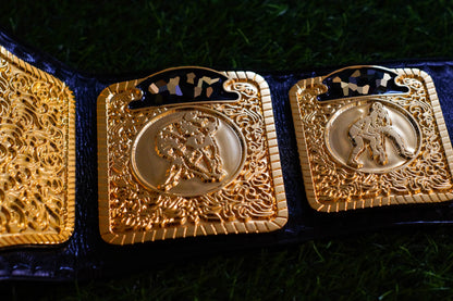 1985 W-C-W TV Championship Title – Gold