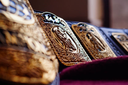 1985 W-C-W TV Championship Title – Gold Gallery 2