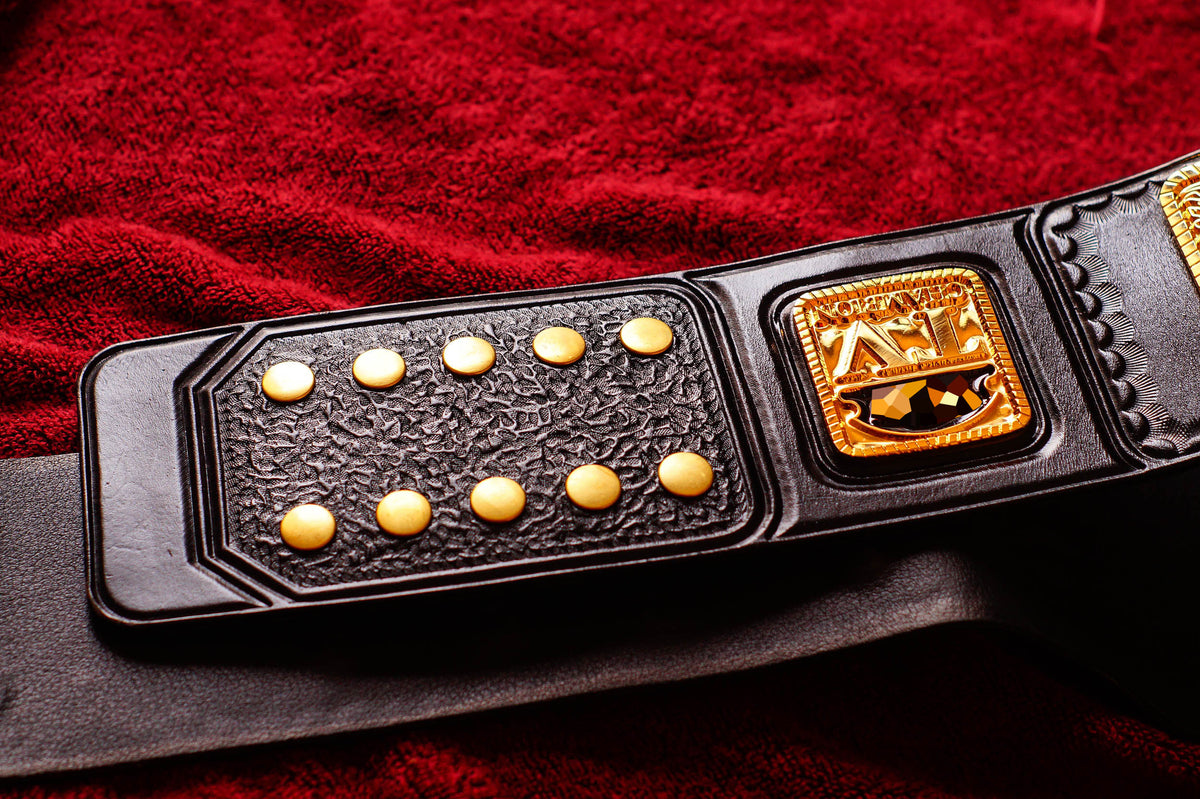 1985 W-C-W TV Championship Title – Gold Gallery 2