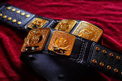 1985 W-C-W TV Championship Title – Gold Gallery 2