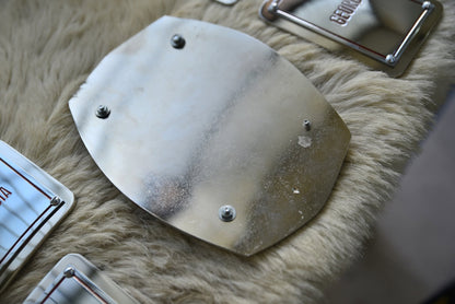 NWA Georgia Title Plates