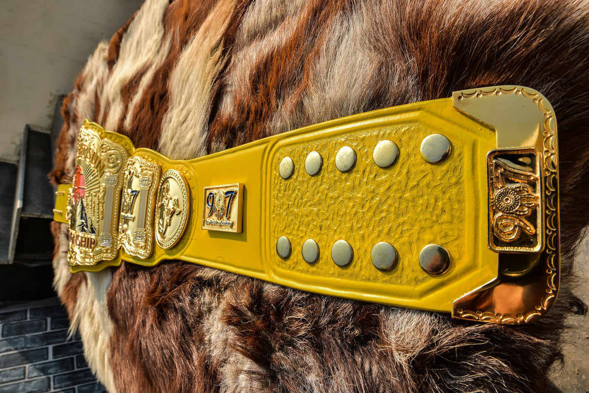 907 Pro Wresting Academy Midnight Sun Title