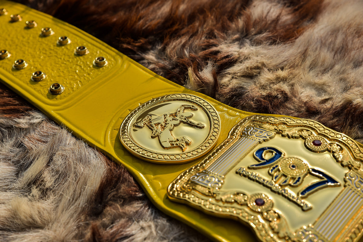 907 Pro Wresting Academy Midnight Sun Title