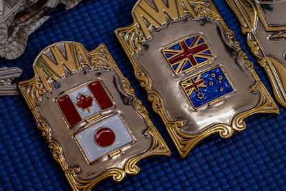AWA International Championship Title