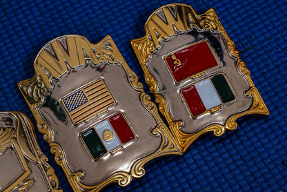 AWA International Championship Title