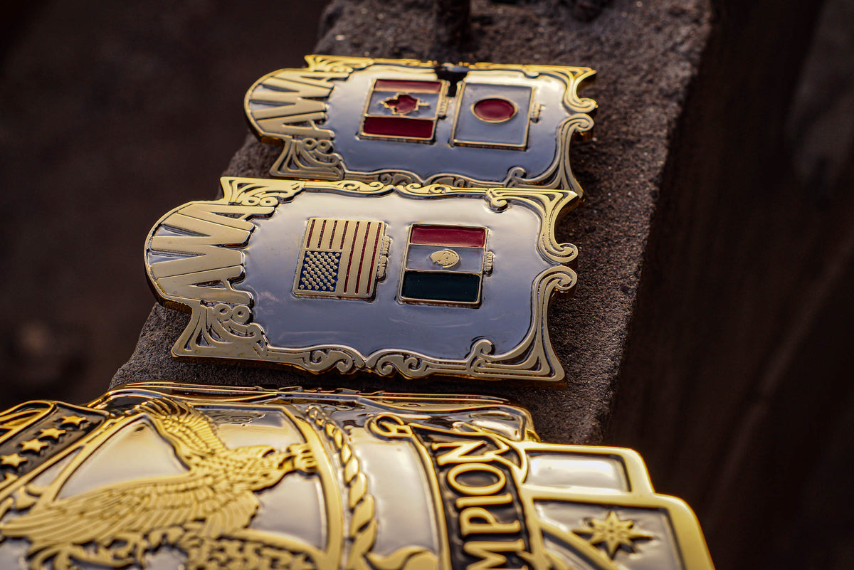 AWA International Championship Title