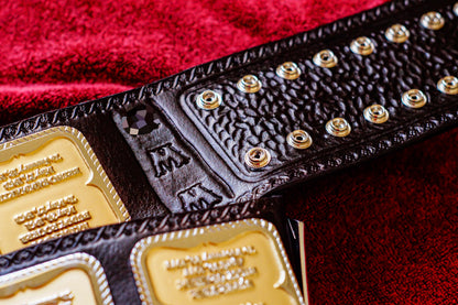 Hogan 85 Title Belt Gallery 1