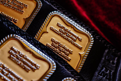 Hogan 85 Title Belt Gallery 1