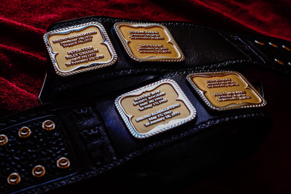 Hogan 85 Title Belt Gallery 1