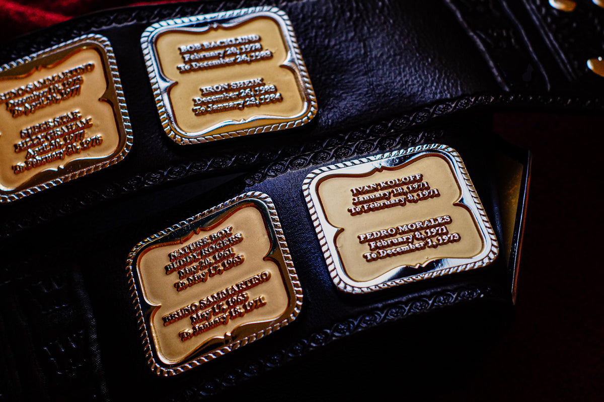 Hogan 85 Title Belt Gallery 1