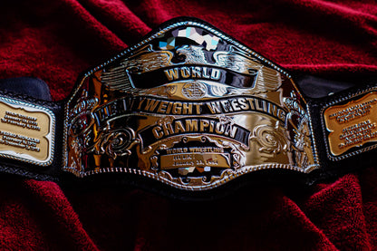 Hogan 85 Title Belt Gallery 1