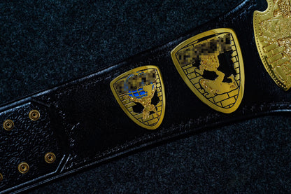ECW World Television Championship Title Belt