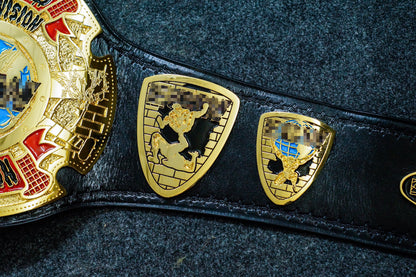 ECW World Television Championship Title Belt