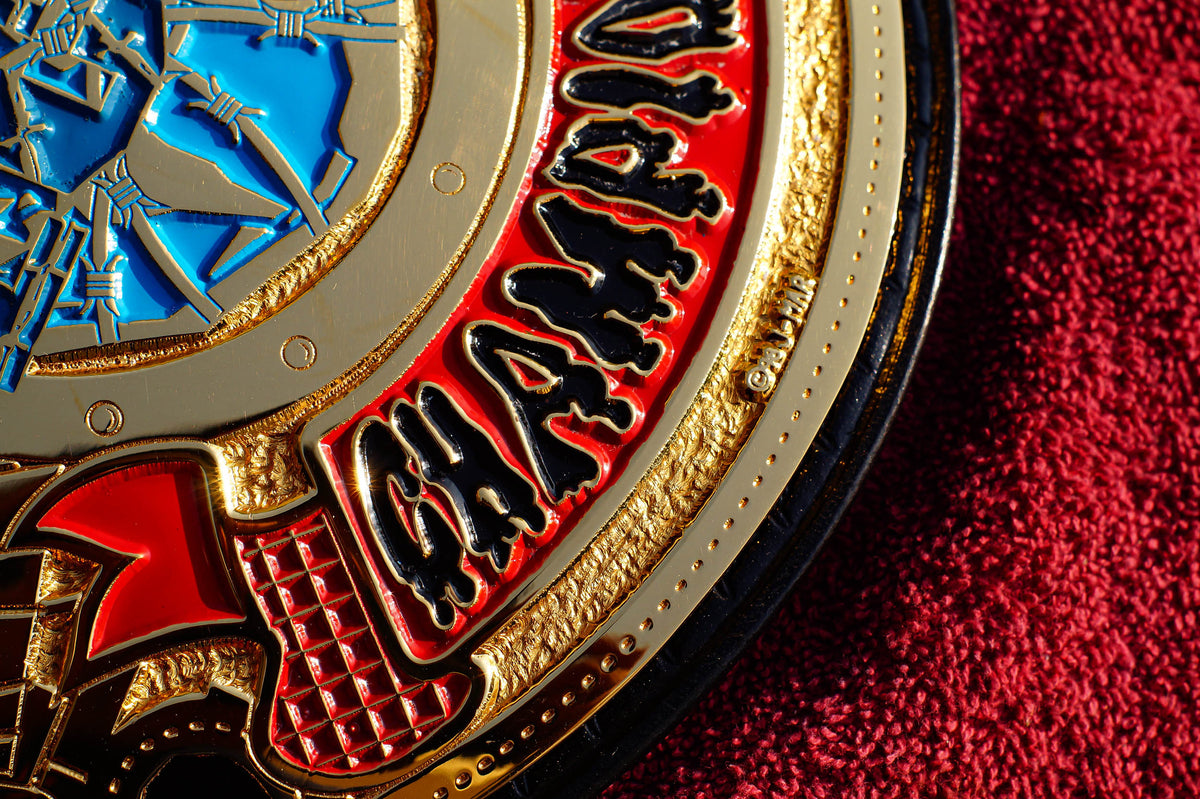ECW World Television Championship Title Belt