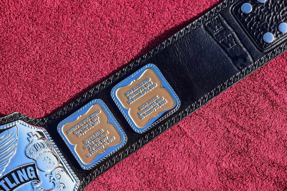 Hogan 85 Title Belt Gallery 1