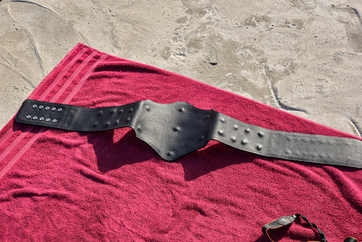 Hogan 85 Title Belt Gallery 1
