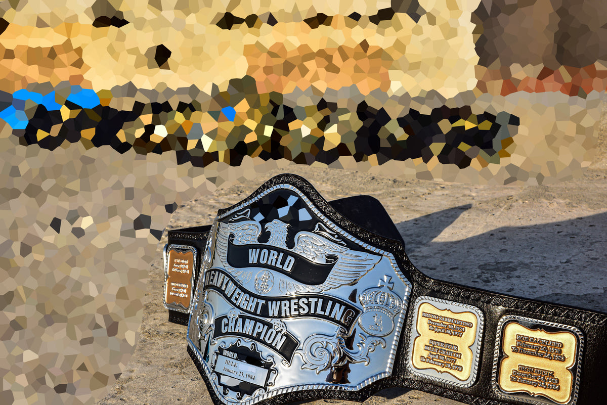 Hogan 85 Title Belt Gallery 1