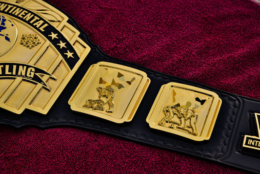 4.2mm Classic IC Title Black Leather Sharp Corners Gallery 2
