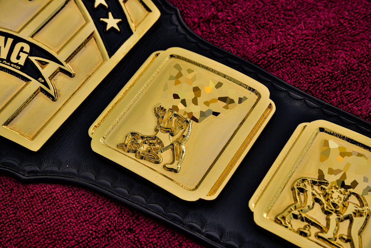 4.2mm Classic IC Title Black Leather Sharp Corners Gallery 2