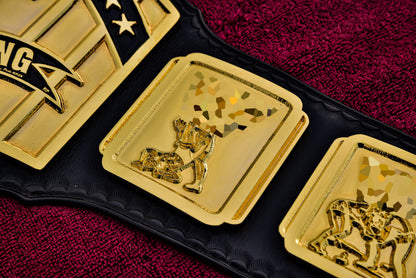 4.2mm Classic IC Title Black Leather Sharp Corners Gallery 2