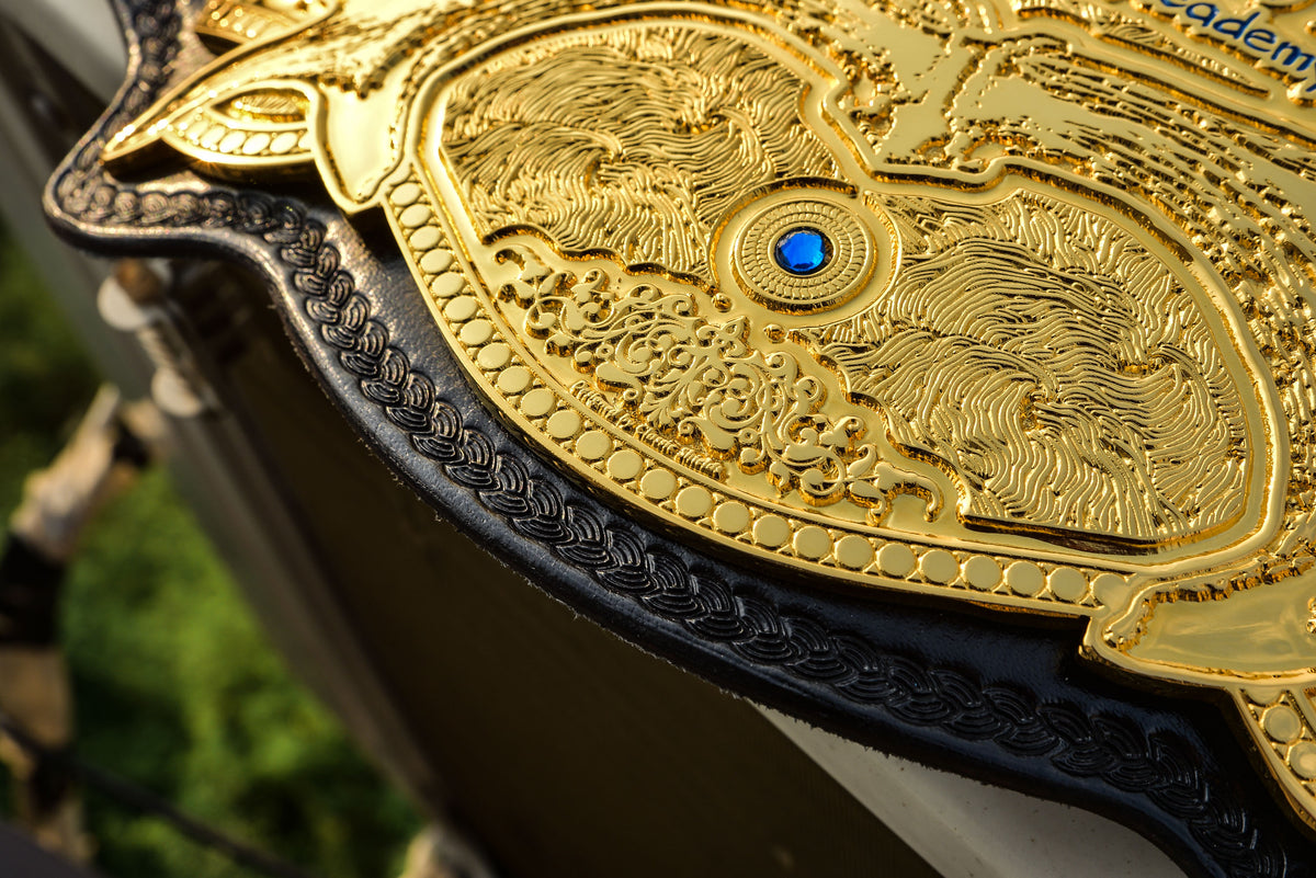 907 Pro Wresting Academy Alaska Title Gold