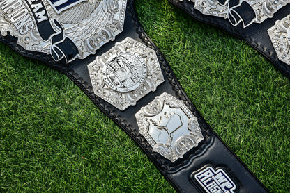 Wp Pro Alaska Tag Titles