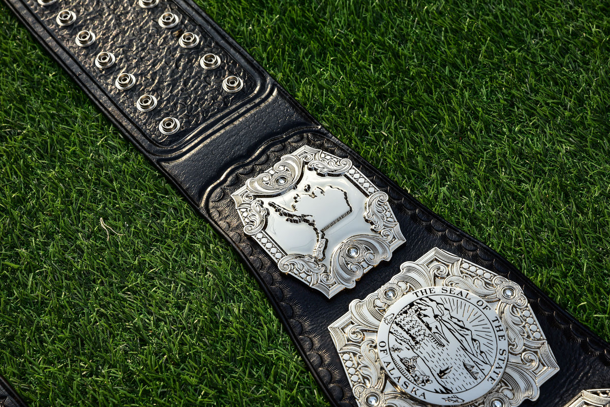 Wp Pro Alaska Tag Titles
