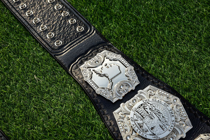 Wp Pro Alaska Tag Titles
