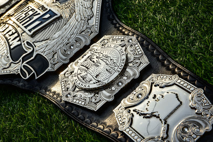 Wp Pro Alaska Tag Titles