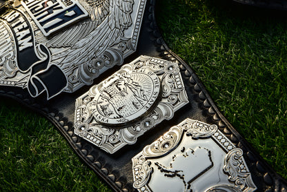 Wp Pro Alaska Tag Titles