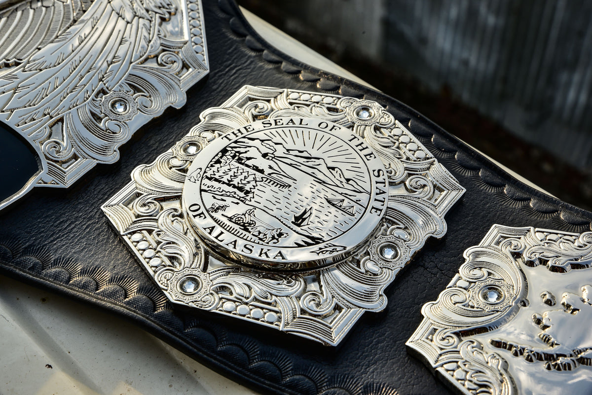 Wp Pro Alaska Tag Titles