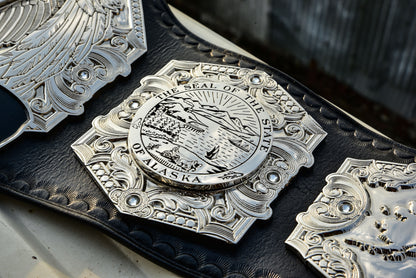 Wp Pro Alaska Tag Titles
