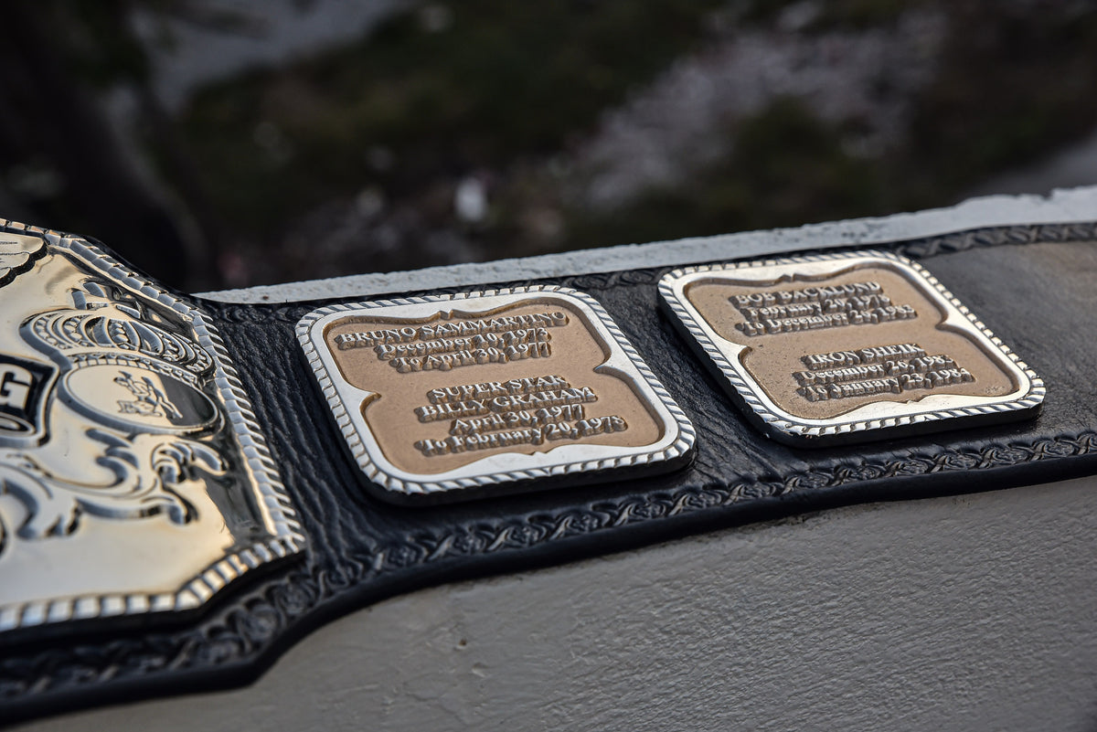 Hogan 85 Title Belt Gallery 2