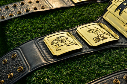 SSCW Custom Titles