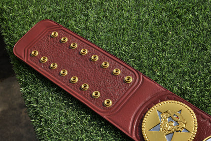 TSW Texas Title