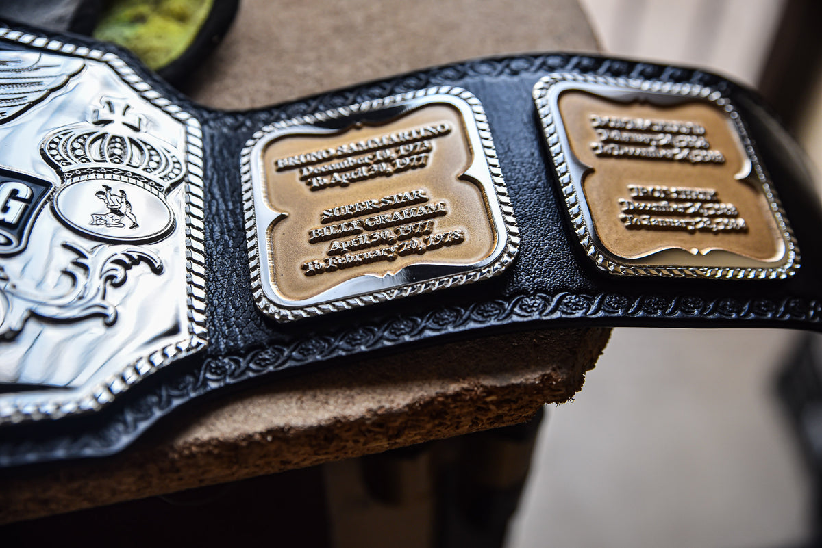 Hogan 85 Title Belt Gallery 2