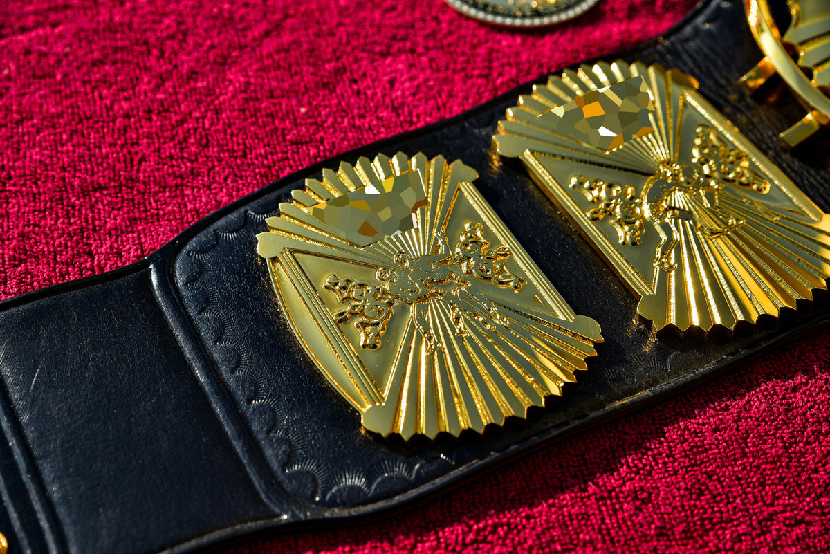 Winged Eagle Exclusive Series Sr#005