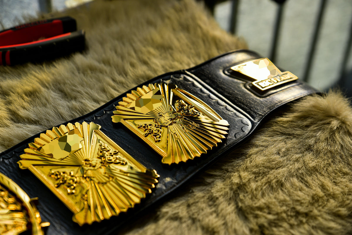 Winged Eagle Exclusive Series Sr#005