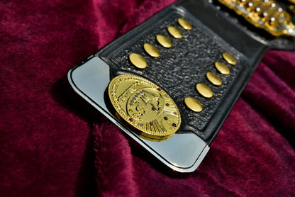 IWGP V4 Championship Title In Stock