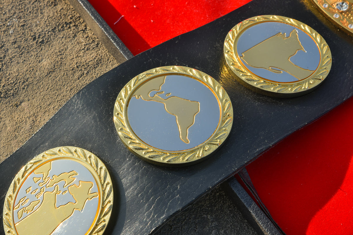 IWGP Heavyweight Championship V1 (original version)