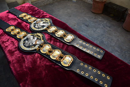NWA International Tag Team Championship Title Belt