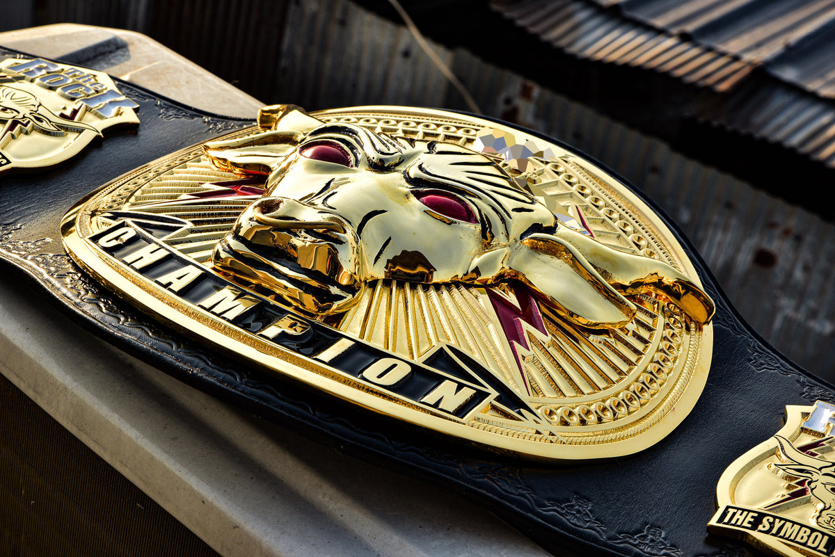 The Rock Brahma Bull Championship Title Belt Gallery 1