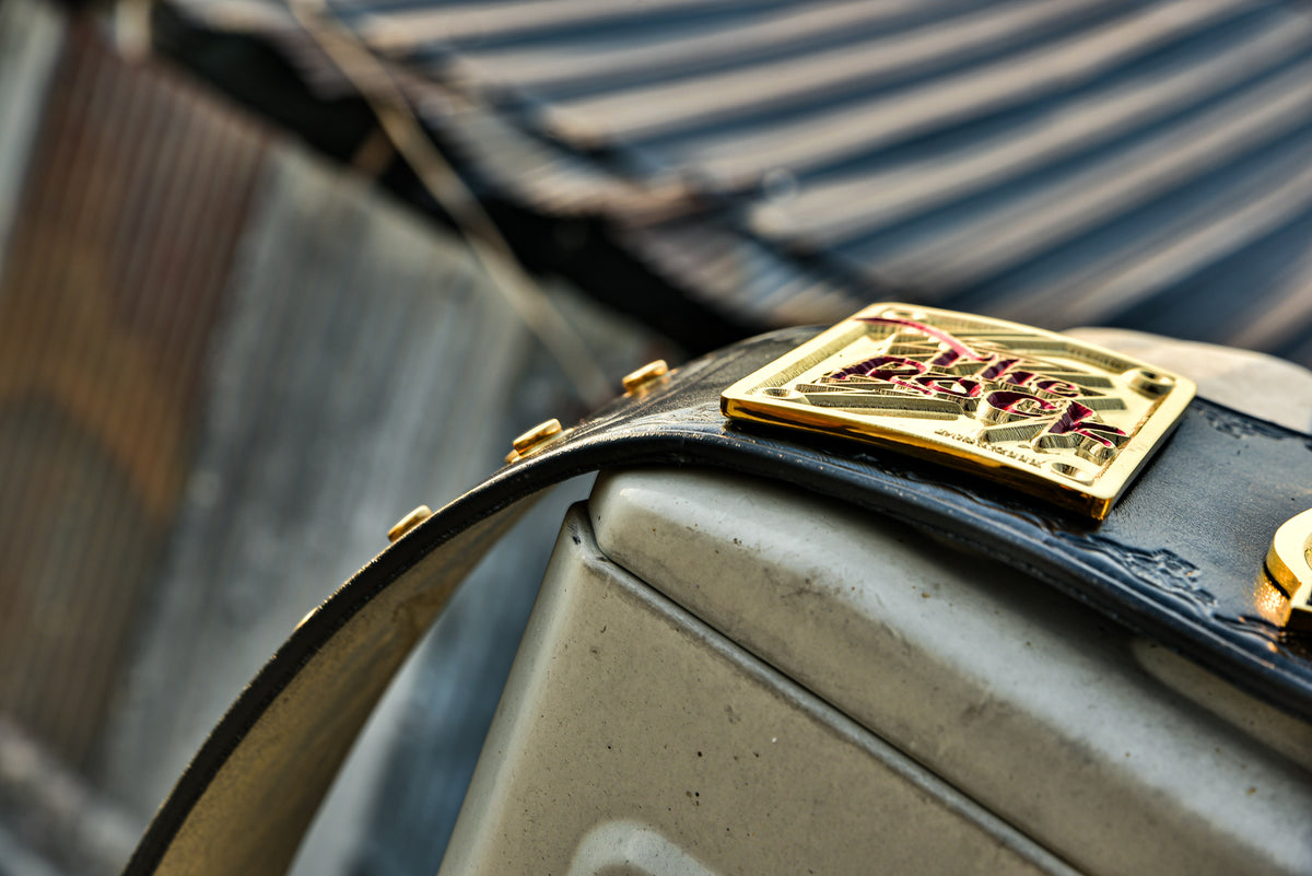 The Rock Brahma Bull Championship Title Belt Gallery 1