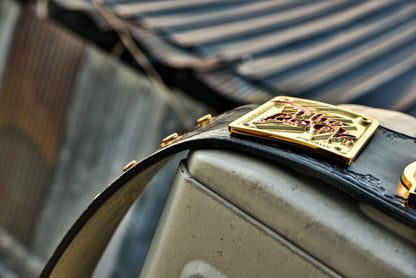 The Rock Brahma Bull Championship Title Belt Gallery 1