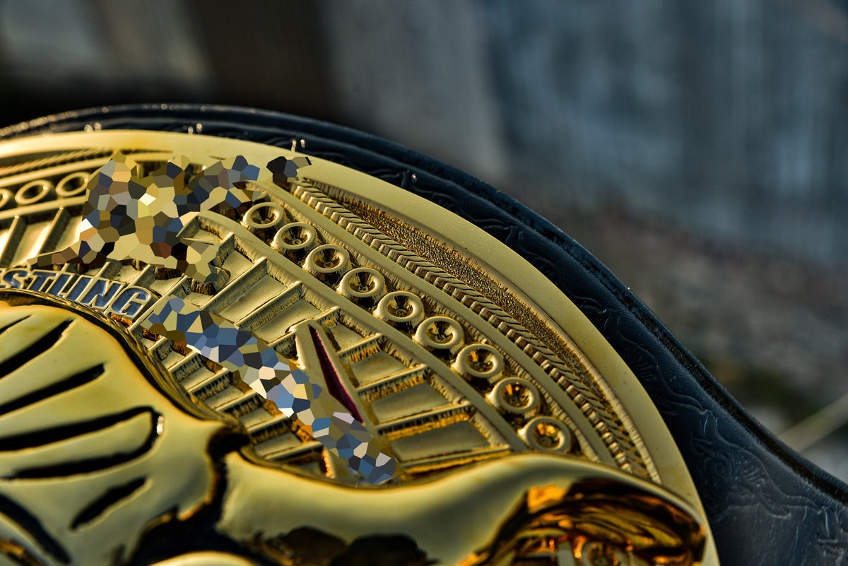 The Rock Brahma Bull Championship Title Belt Gallery 1