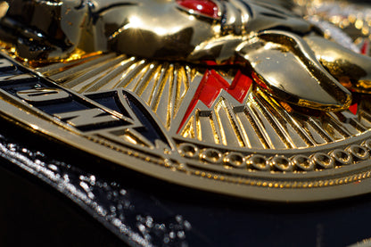 The Rock Brahma Bull Championship Title Belt Gallery 2
